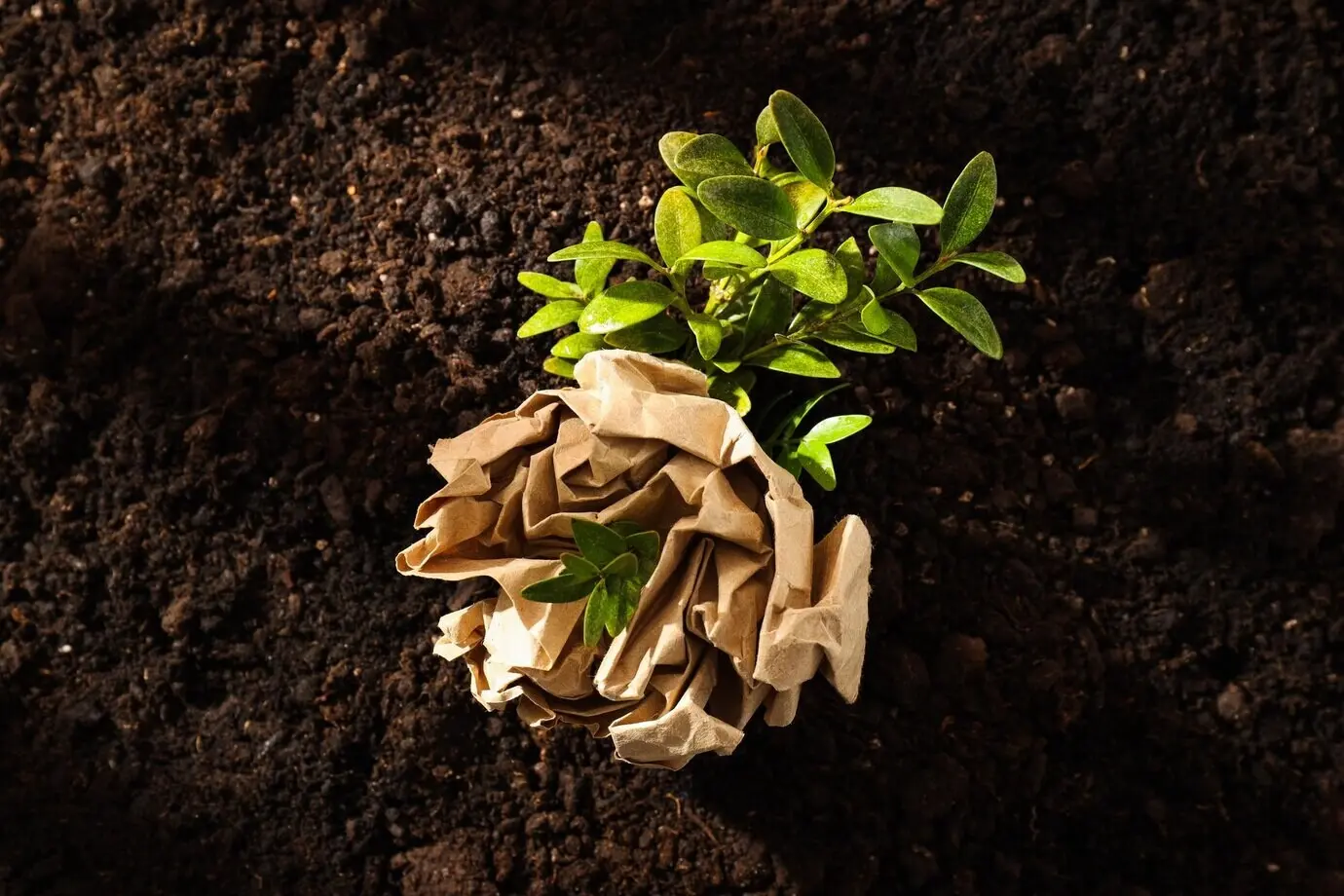 Umweltkonzept zum Tag der Erde und Öko-Konzept